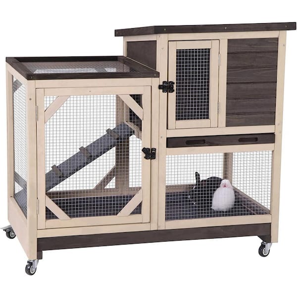 Smart Ways to Enhance Your Eastern Cottontail Rabbit Habitat in 2025