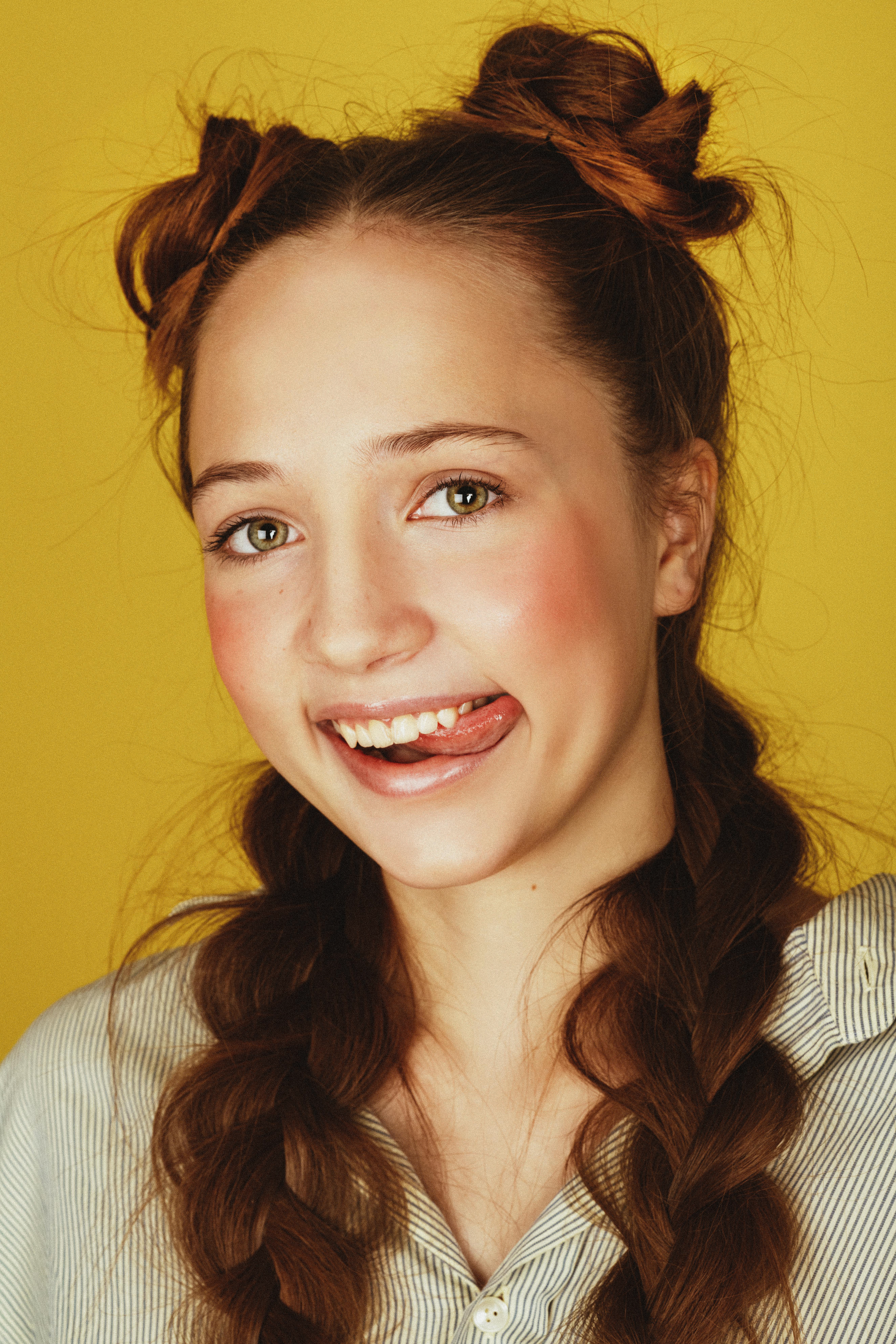 Rabbit Dental Products