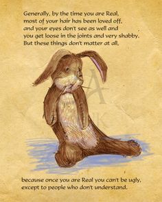 Velveteen Rabbit Quotes